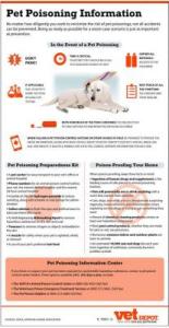 Prevent Poison to Pets Infographic1